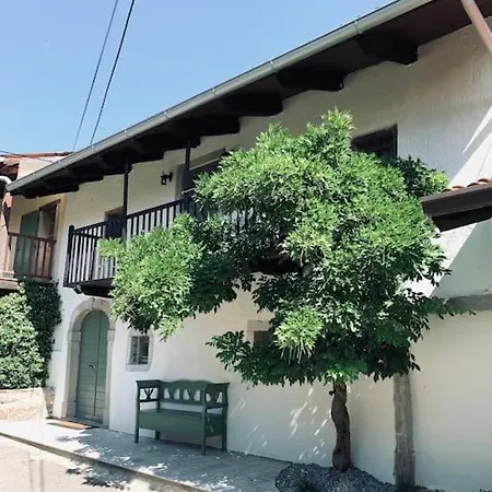 Reza House * Branik