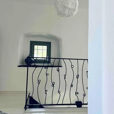 Reza House Branik
